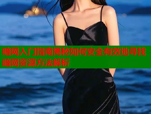 暗网入门指南揭秘如何安全有效地寻找暗网资源方法解析  第1张