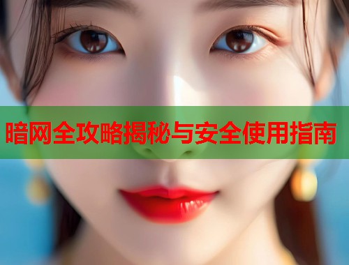 暗网全攻略揭秘与安全使用指南  第1张