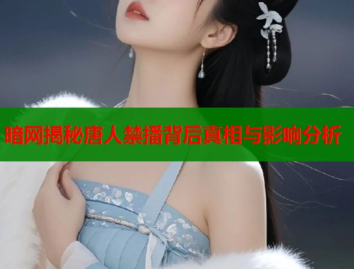 暗网揭秘唐人禁播背后真相与影响分析  第2张