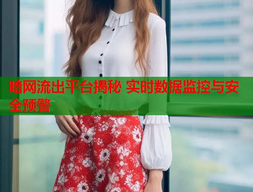 暗网流出平台揭秘 实时数据监控与安全预警  第1张
