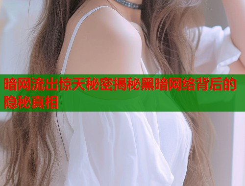 暗网流出惊天秘密揭秘黑暗网络背后的隐秘真相  第1张