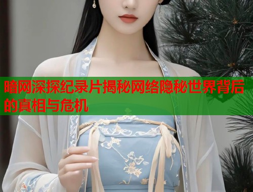 暗网深探纪录片揭秘网络隐秘世界背后的真相与危机  第1张