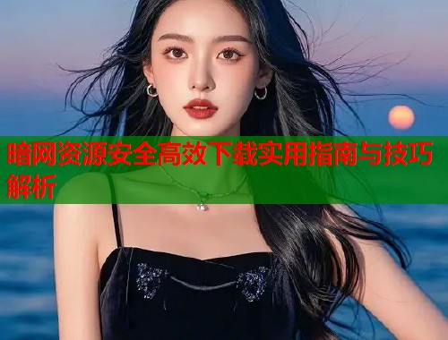 暗网资源安全高效下载实用指南与技巧解析  第1张