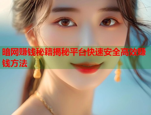 暗网赚钱秘籍揭秘平台快速安全高效赚钱方法  第2张