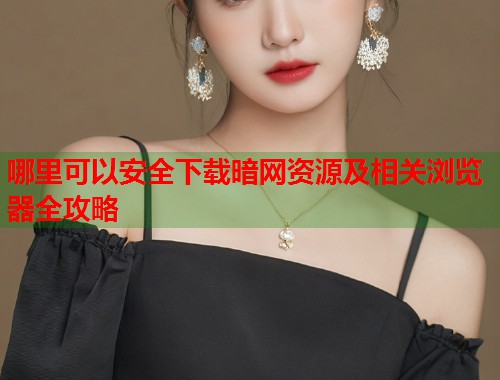 哪里可以安全下载暗网资源及相关浏览器全攻略  第1张