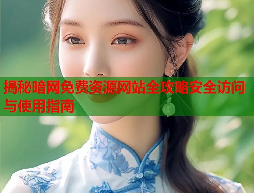 揭秘暗网免费资源网站全攻略安全访问与使用指南  第1张