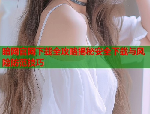 暗网官网下载全攻略揭秘安全下载与风险防范技巧  第1张