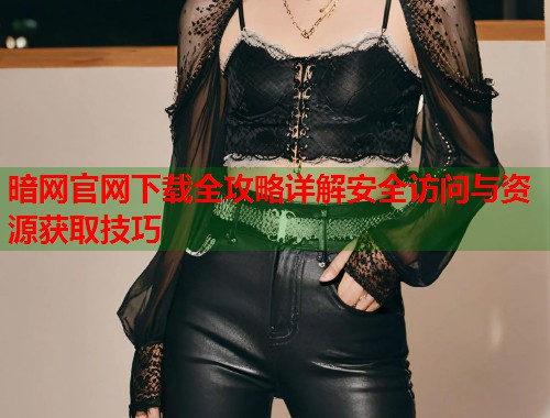 暗网官网下载全攻略详解安全访问与资源获取技巧  第1张
