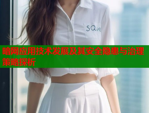 暗网应用技术发展及其安全隐患与治理策略探析  第1张