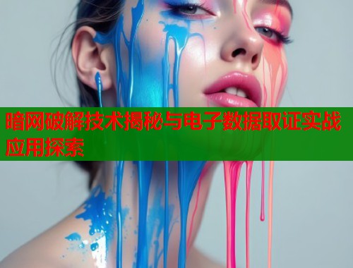 暗网破解技术揭秘与电子数据取证实战应用探索  第2张