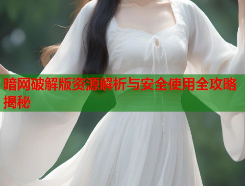 暗网破解版资源解析与安全使用全攻略揭秘  第2张