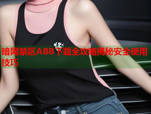 暗网禁区ABB下载全攻略揭秘安全使用技巧  第1张