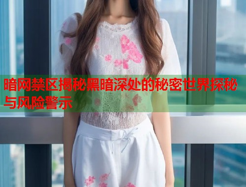 暗网禁区揭秘黑暗深处的秘密世界探秘与风险警示  第1张