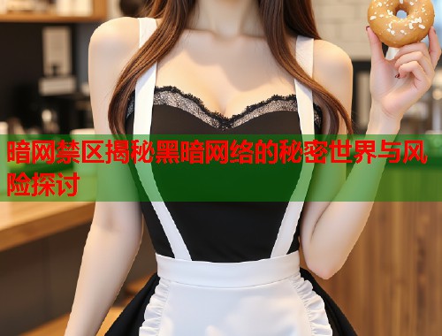 暗网禁区揭秘黑暗网络的秘密世界与风险探讨  第2张