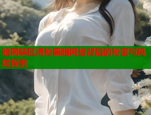 暗网禁区揭秘黑暗网络背后的秘密与风险探索  第1张