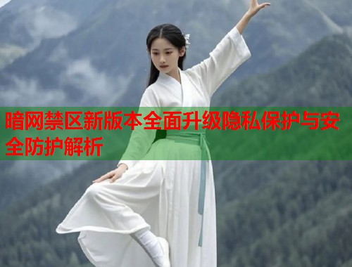 暗网禁区新版本全面升级隐私保护与安全防护解析  第1张