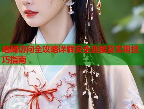 暗网访问全攻略详解安全连接及实用技巧指南  第1张