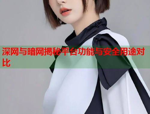 深网与暗网揭秘平台功能与安全用途对比  第1张