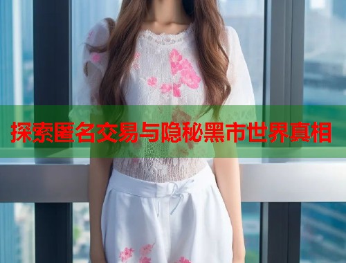  探索匿名交易与隐秘黑市世界真相 第1张