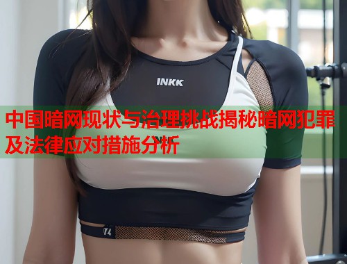 中国暗网现状与治理挑战揭秘暗网犯罪及法律应对措施分析  第1张