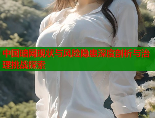 中国暗网现状与风险隐患深度剖析与治理挑战探索  第1张