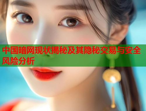 中国暗网现状揭秘及其隐秘交易与安全风险分析  第1张