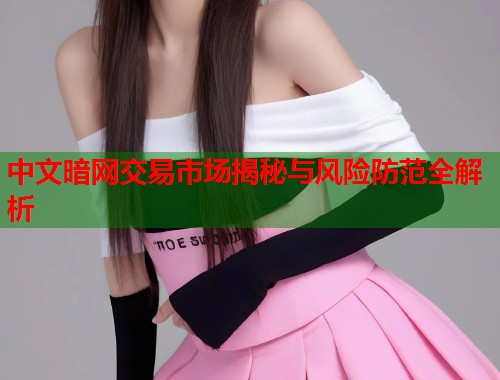 中文暗网交易市场揭秘与风险防范全解析  第1张
