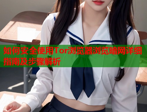 如何安全使用Tor浏览器浏览暗网详细指南及步骤解析  第1张