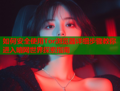 如何安全使用Tor浏览器详细步骤教你进入暗网世界探索指南  第2张