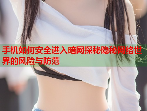 手机如何安全进入暗网探秘隐秘网络世界的风险与防范  第1张