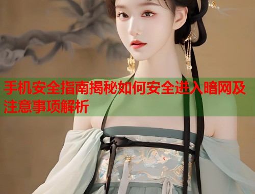 手机安全指南揭秘如何安全进入暗网及注意事项解析  第1张