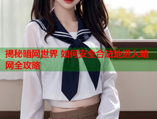揭秘暗网世界 如何安全合法地进入暗网全攻略  第1张
