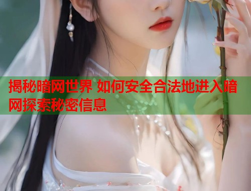 揭秘暗网世界 如何安全合法地进入暗网探索秘密信息  第1张