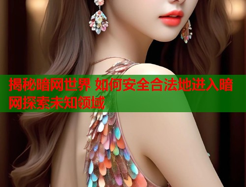 揭秘暗网世界 如何安全合法地进入暗网探索未知领域  第1张