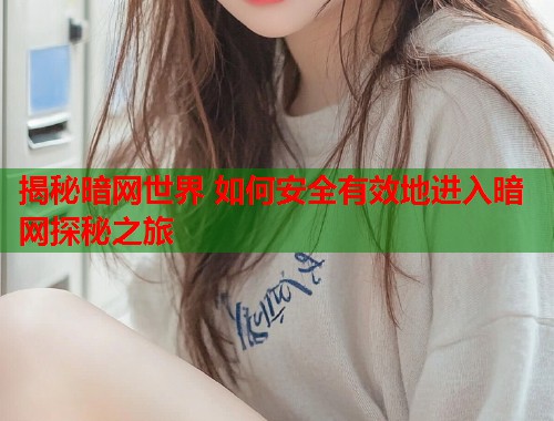 揭秘暗网世界 如何安全有效地进入暗网探秘之旅  第1张