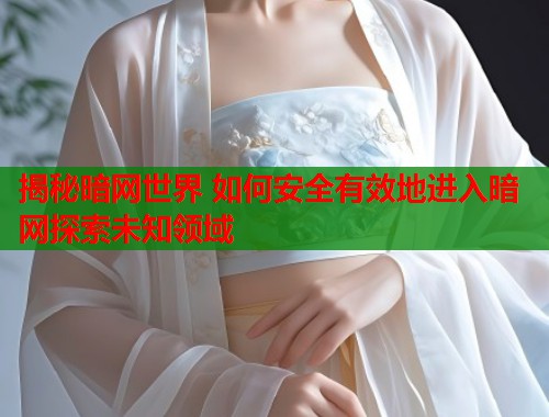 揭秘暗网世界 如何安全有效地进入暗网探索未知领域  第1张