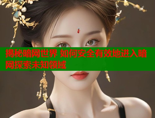 揭秘暗网世界 如何安全有效地进入暗网探索未知领域  第2张