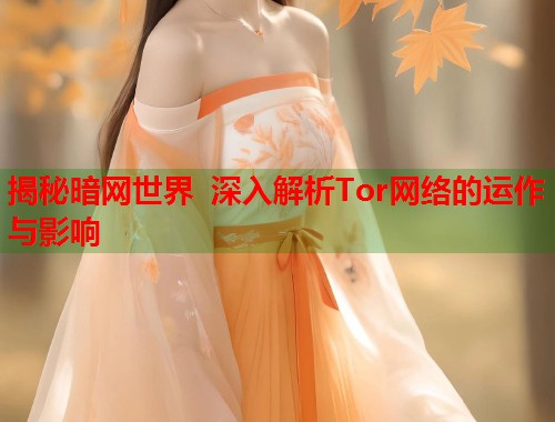 揭秘暗网世界 深入解析Tor网络的运作与影响  第1张