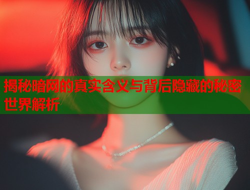 揭秘暗网的真实含义与背后隐藏的秘密世界解析  第1张