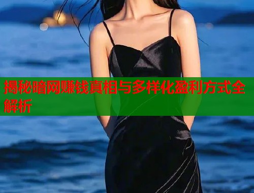 揭秘暗网赚钱真相与多样化盈利方式全解析  第2张