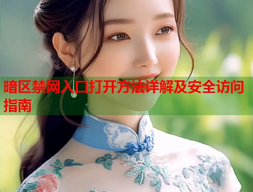 暗区禁网入口打开方法详解及安全访问指南  第1张