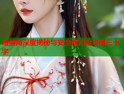 暗禁网深度揭秘与安全使用全攻略三十字  第1张