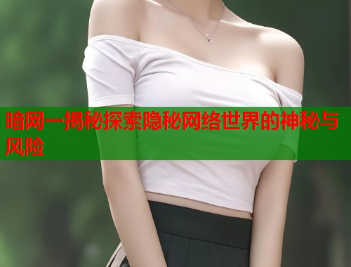 暗网一揭秘探索隐秘网络世界的神秘与风险  第1张