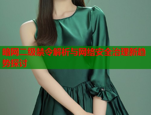 暗网二级禁令解析与网络安全治理新趋势探讨  第1张