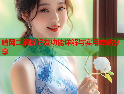 暗网二解除好友功能详解与实用攻略分享  第2张