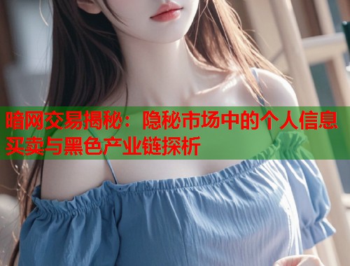 暗网交易揭秘：隐秘市场中的个人信息买卖与黑色产业链探析  第2张