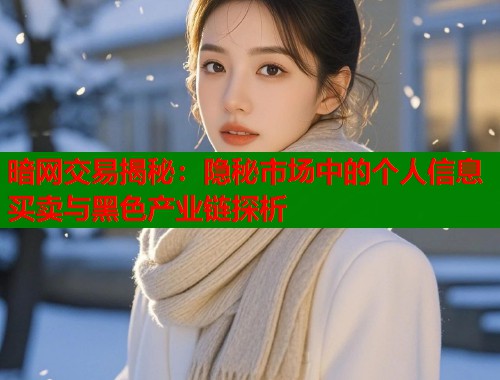 暗网交易揭秘：隐秘市场中的个人信息买卖与黑色产业链探析  第1张