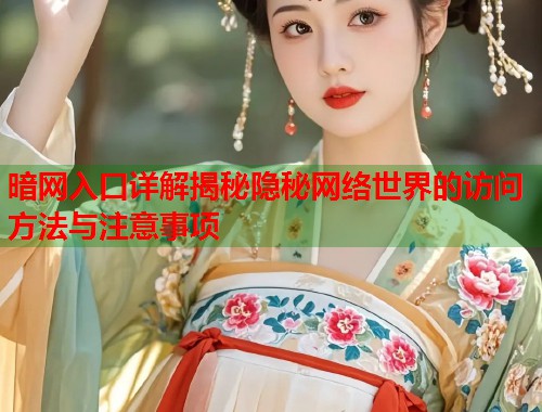 暗网入口详解揭秘隐秘网络世界的访问方法与注意事项  第2张
