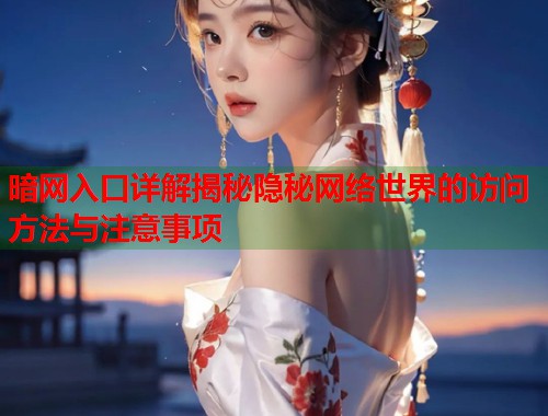 暗网入口详解揭秘隐秘网络世界的访问方法与注意事项  第1张