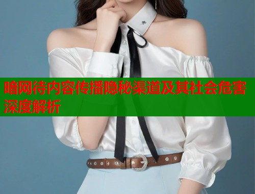 暗网待内容传播隐秘渠道及其社会危害深度解析  第1张